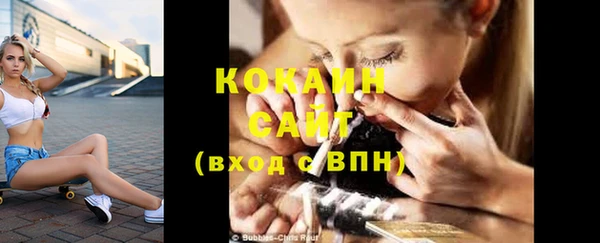 твердый Аркадак