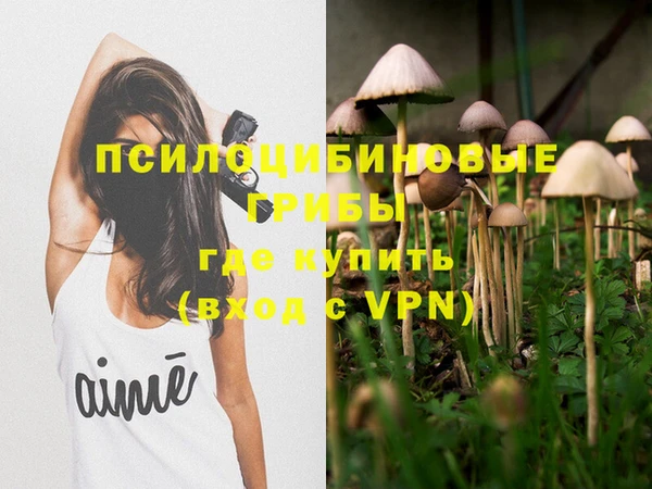 шишки Арсеньев