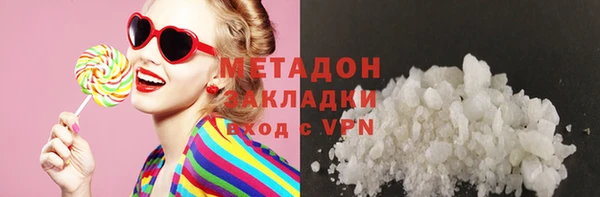 шишки Арсеньев