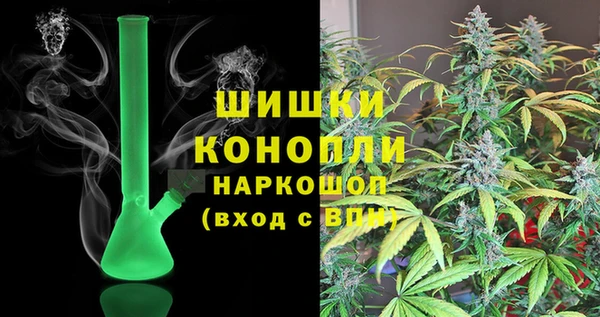 шишки Арсеньев