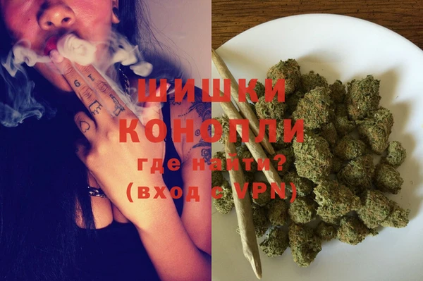 шишки Арсеньев