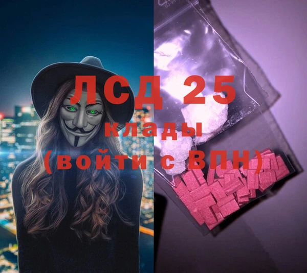шишки Арсеньев
