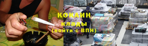 шишки Арсеньев