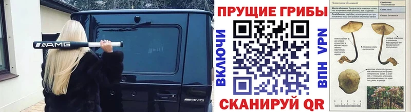 Галлюциногенные грибы мицелий  купить наркоту  Краснослободск 